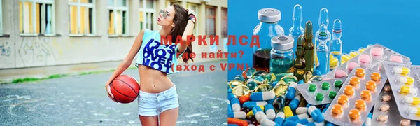 эйфоретик Алзамай