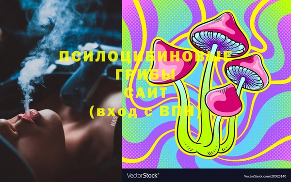 эйфоретик Алзамай