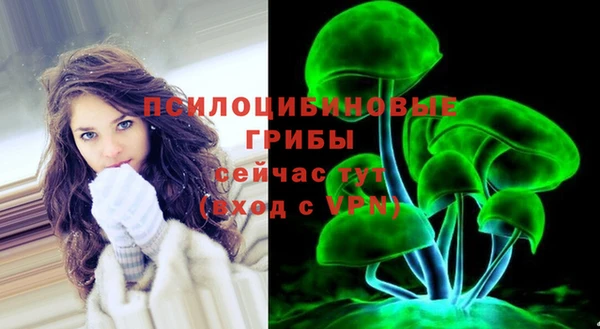 эйфоретик Алексеевка
