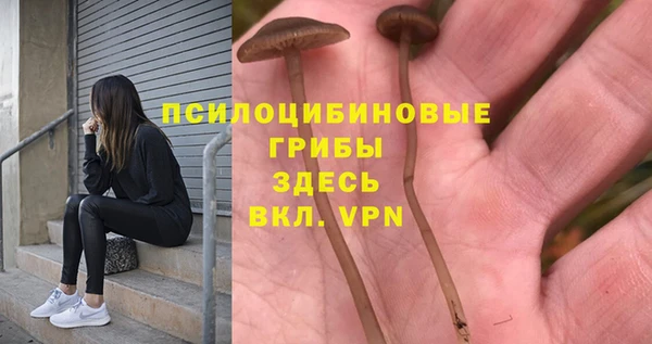 марихуана Абаза