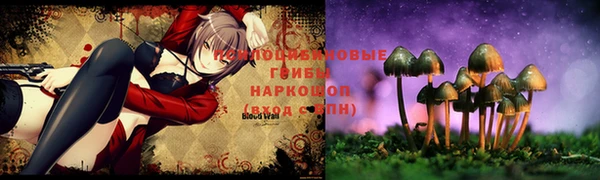 эйфоретик Алексеевка